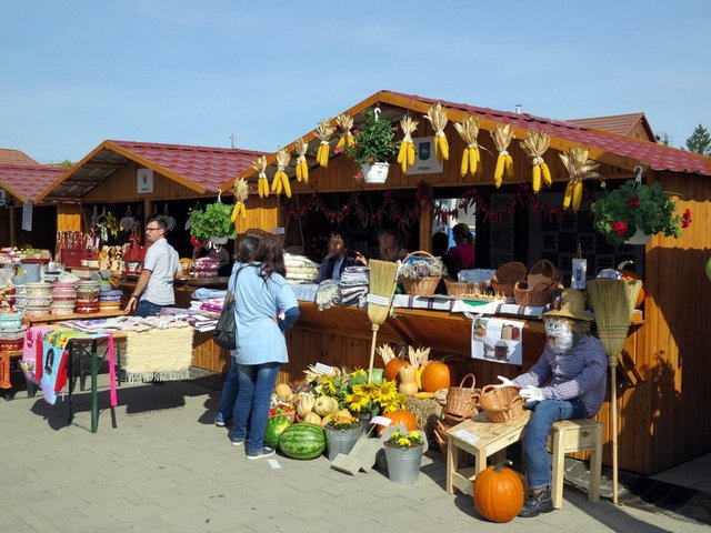 Megyei Közfoglalkoztatási Kiállítás 003